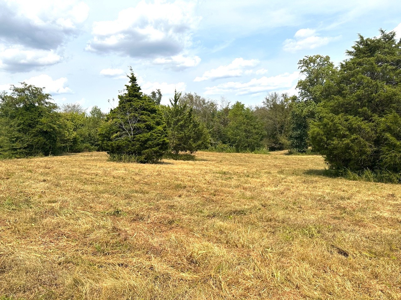 1 Burgess Gower Road Springfield TN 37172