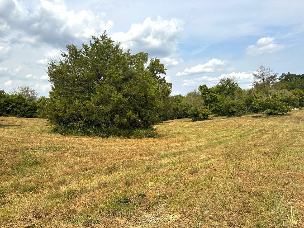 1 Burgess Gower Road Springfield TN 37172
