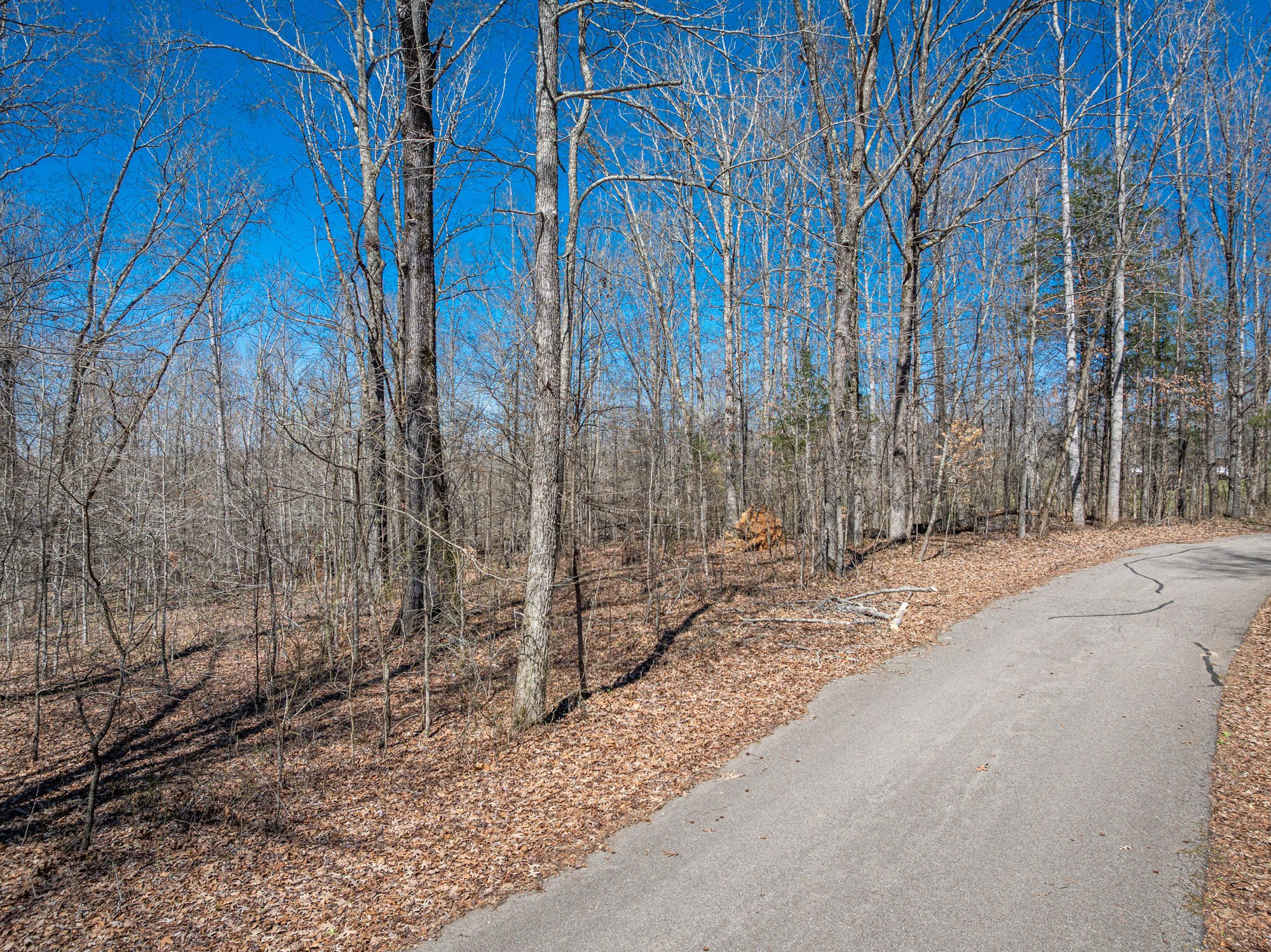 0 Featherfoot Pkwy Lp Parsons TN 38363