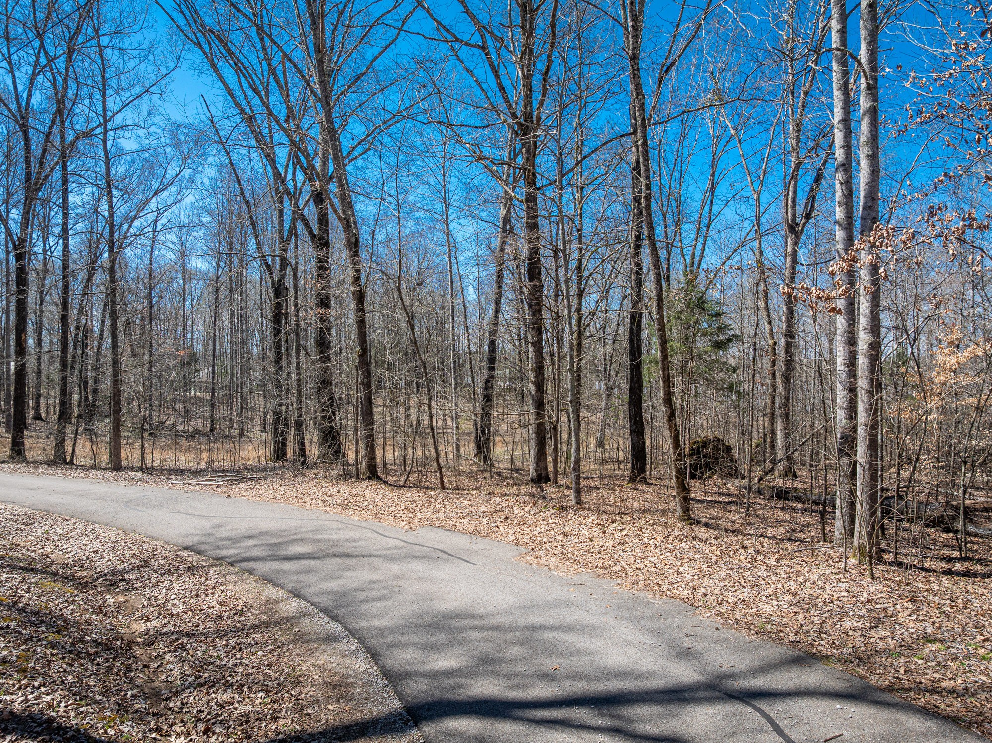 0 Featherfoot Pkwy Lp Parsons TN 38363
