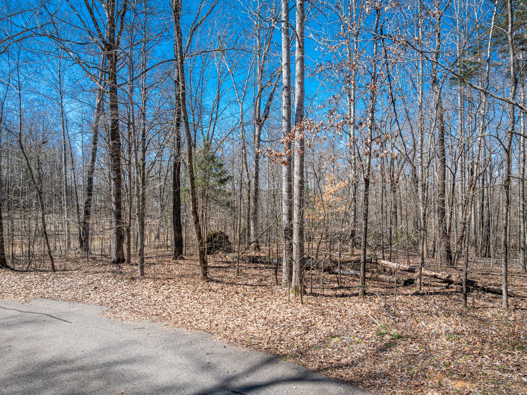 0 Featherfoot Pkwy Lp Parsons TN 38363
