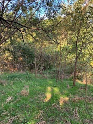 0 Cortner Hollow Road Shelbyville TN 37160