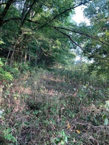 0 Cortner Hollow Road Shelbyville TN 37160