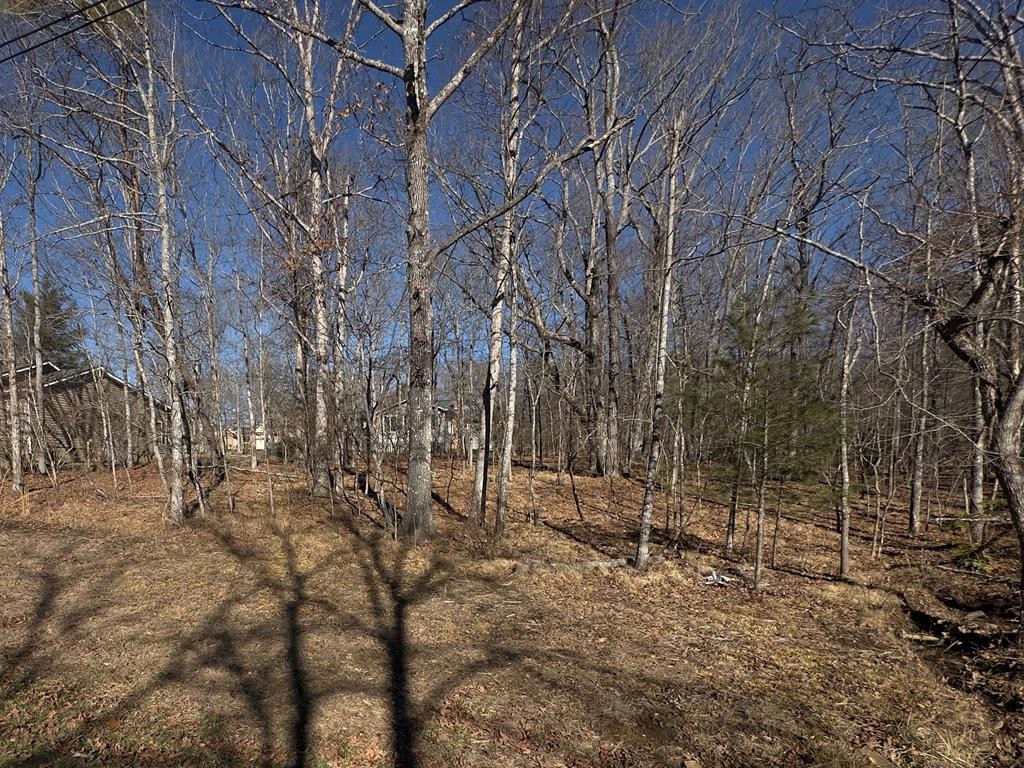 106 Hilton Lane Crossville TN 38558
