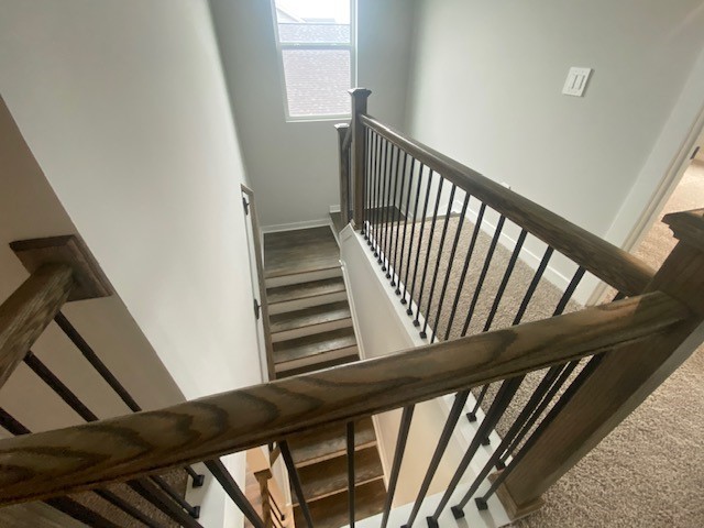 4312 Scarlet Court Columbia TN 38401