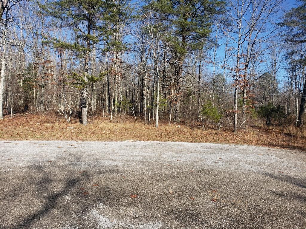 44 Hemlock Lane Spencer TN 38585