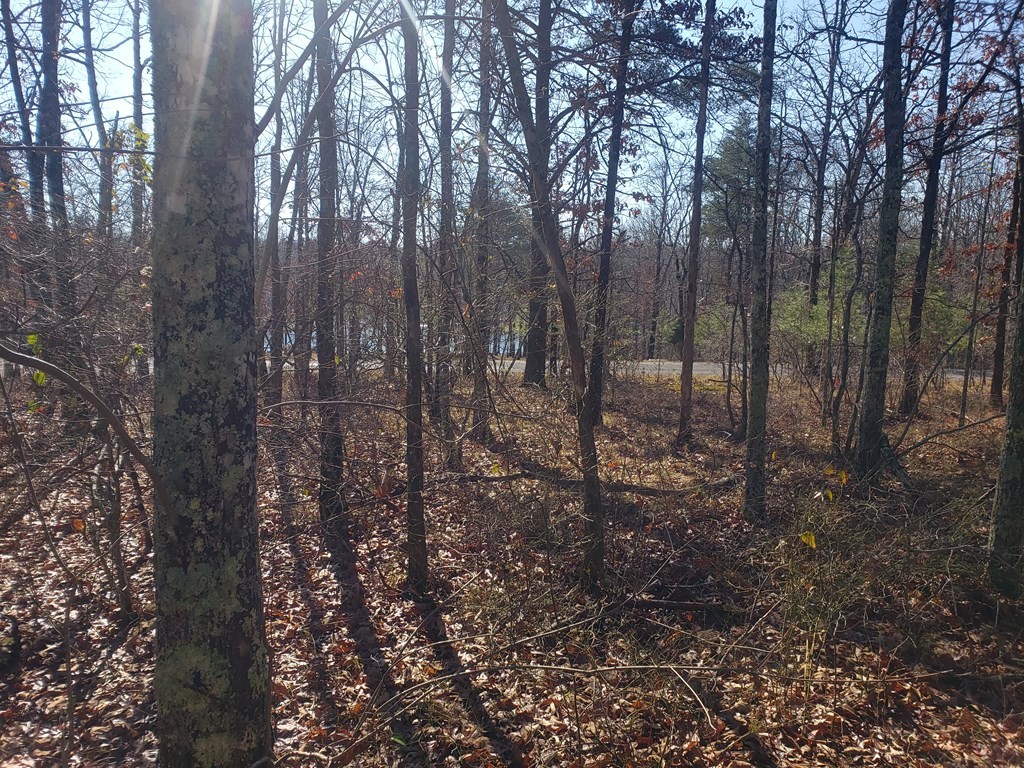 44 Hemlock Lane Spencer TN 38585
