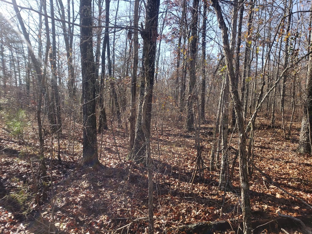 44 Hemlock Lane Spencer TN 38585