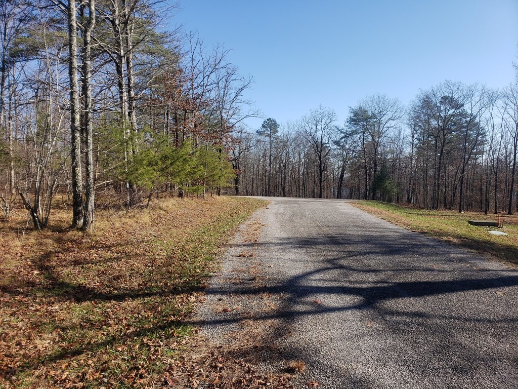 44 Hemlock Lane Spencer TN 38585