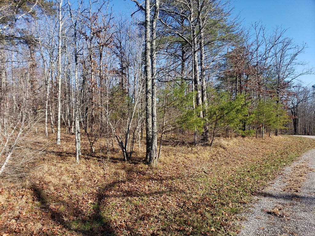 44 Hemlock Lane Spencer TN 38585