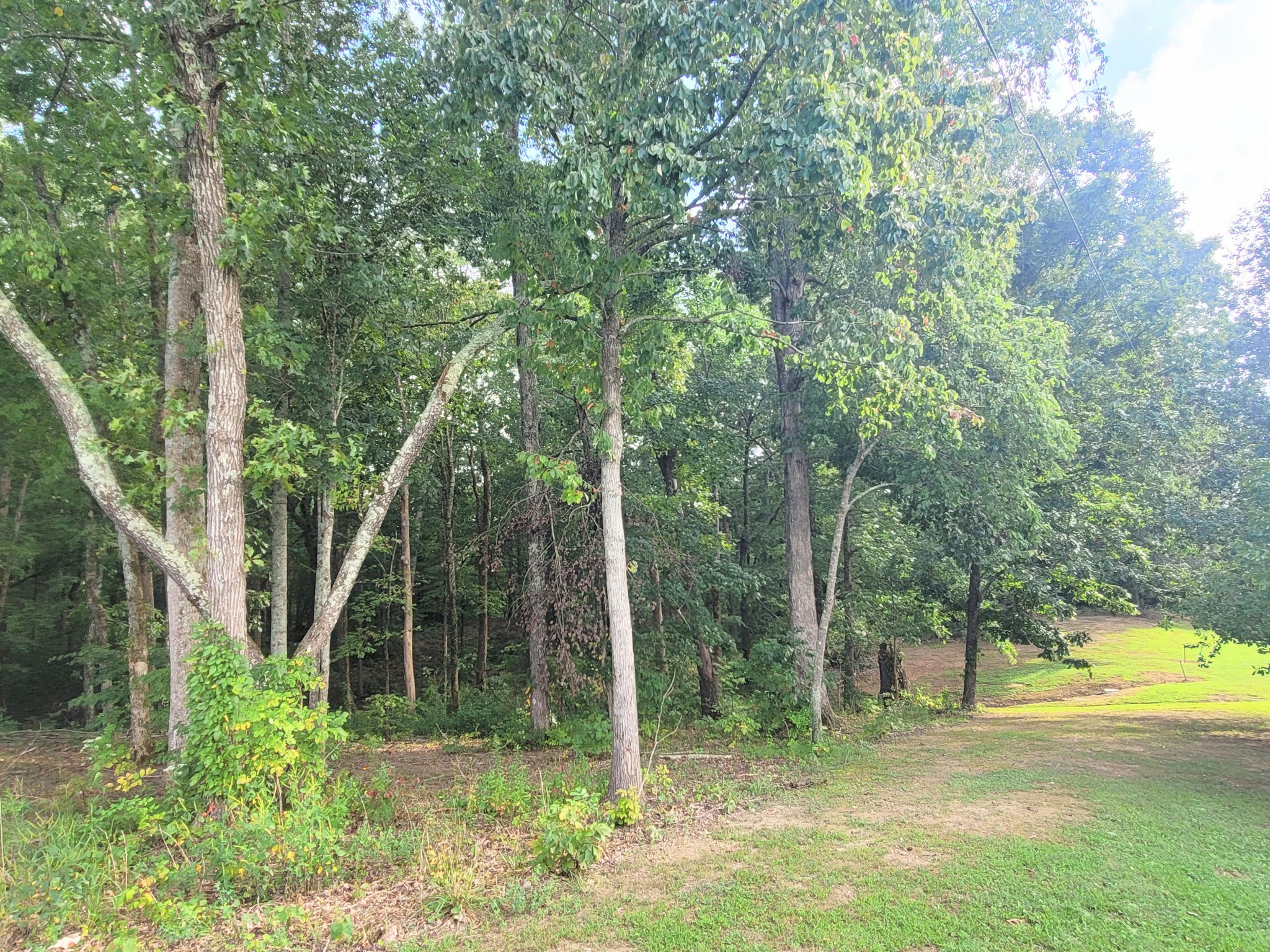 0 Salem Road Mc Minnville TN 37110