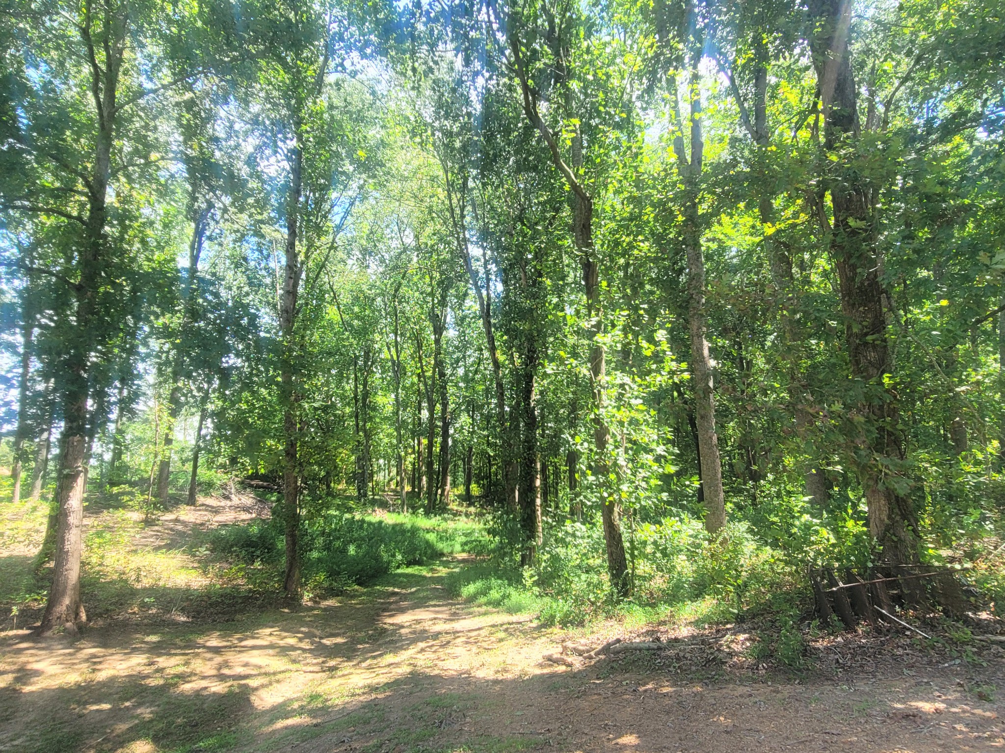 0 Salem Road Mc Minnville TN 37110