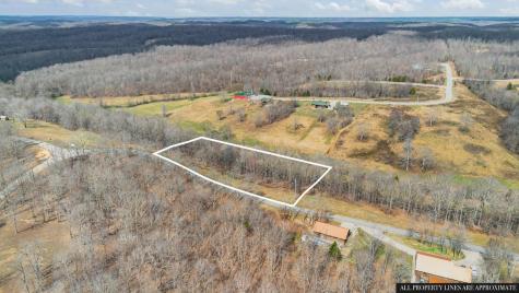 0 Jack Saunders Road Waverly TN 37185