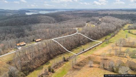 0 Jack Saunders Road Waverly TN 37185