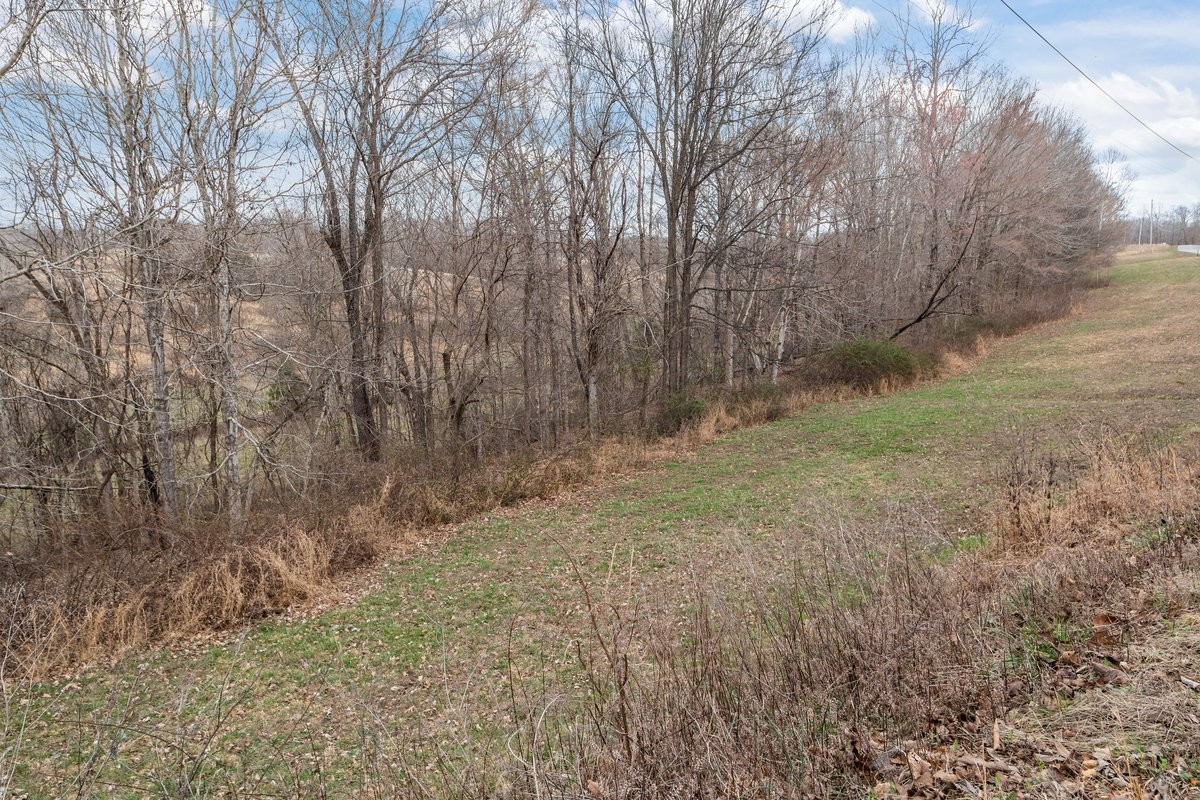 0 Jack Saunders Road Waverly TN 37185