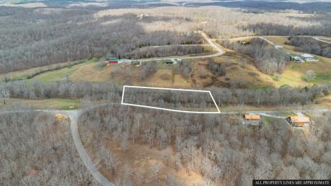 0 Jack Saunders Road Waverly TN 37185