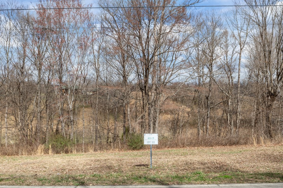 0 Jack Saunders Road Waverly TN 37185