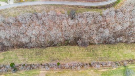 0 Jack Saunders Road Waverly TN 37185