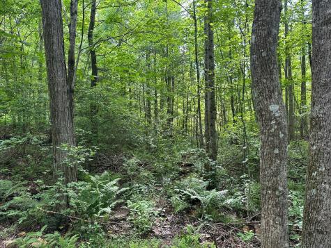 5201 Highway 150 Sequatchie TN 37374