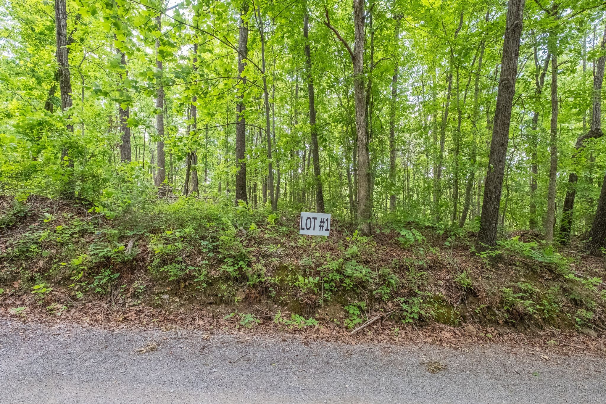 8489 Hoskins Hollow Road Westmoreland TN 37186