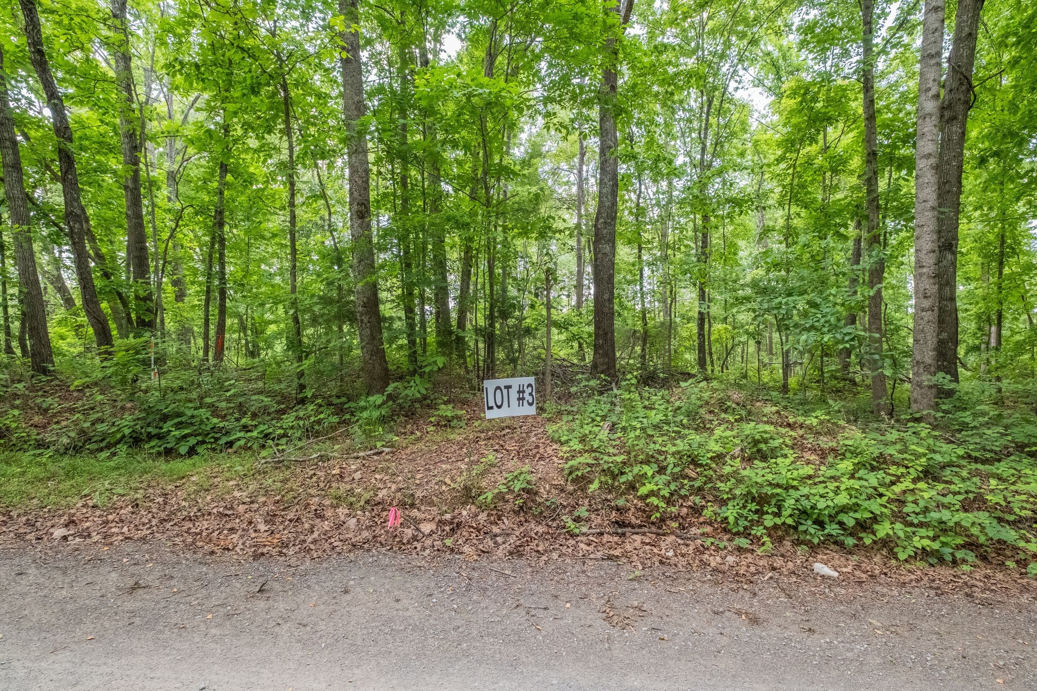 8489 Hoskins Hollow Road Westmoreland TN 37186