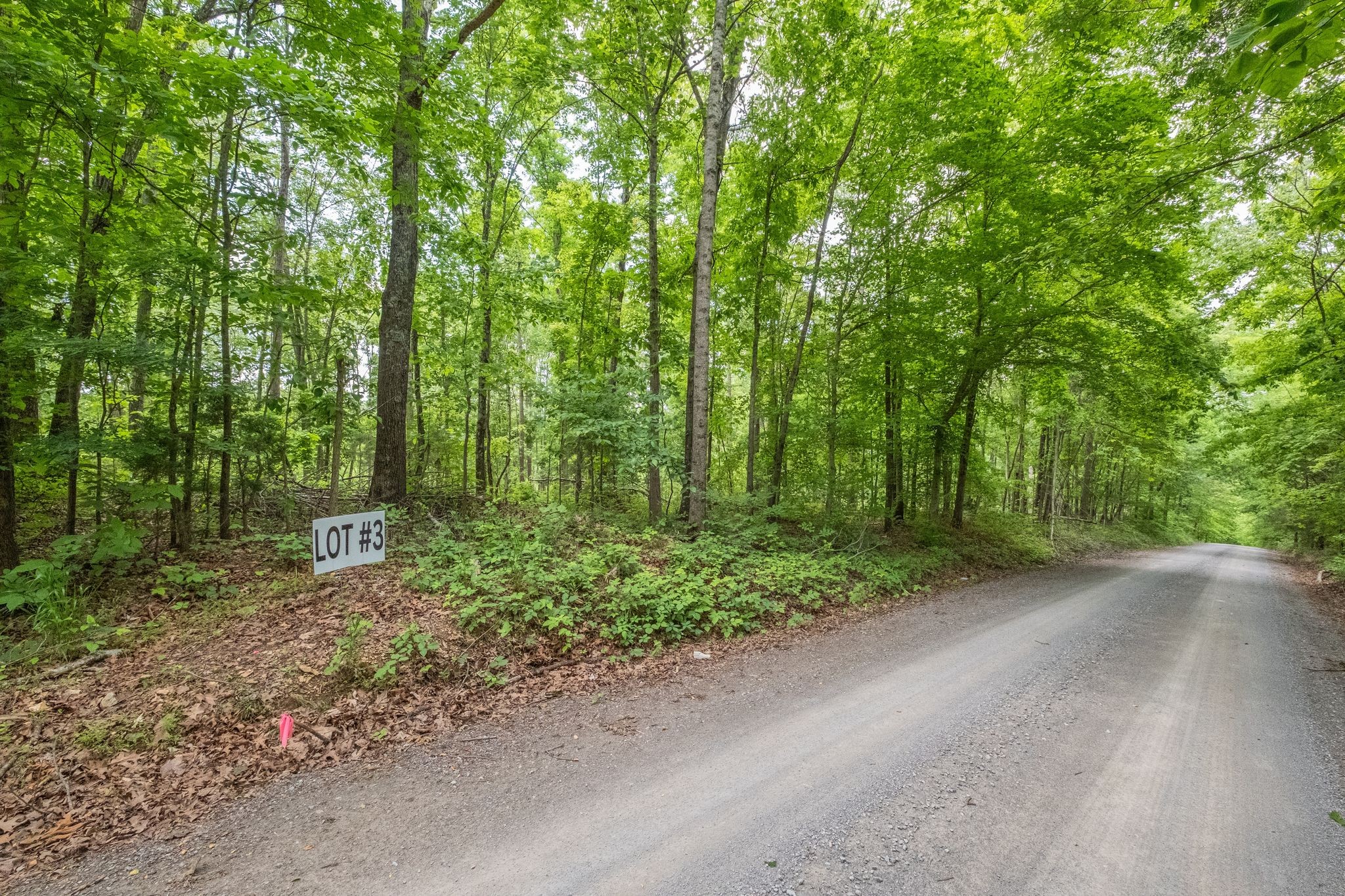 8489 Hoskins Hollow Road Westmoreland TN 37186
