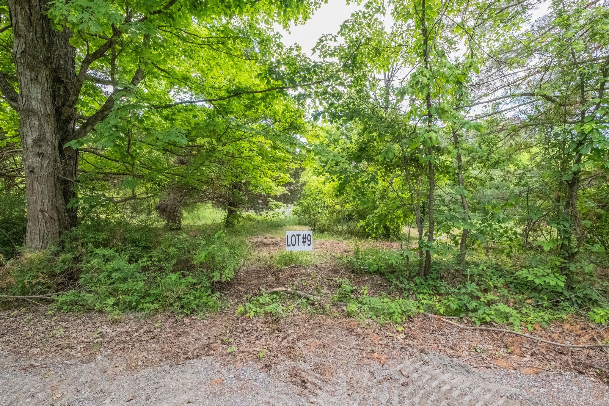 8489 Hoskins Hollow Road Westmoreland TN 37186