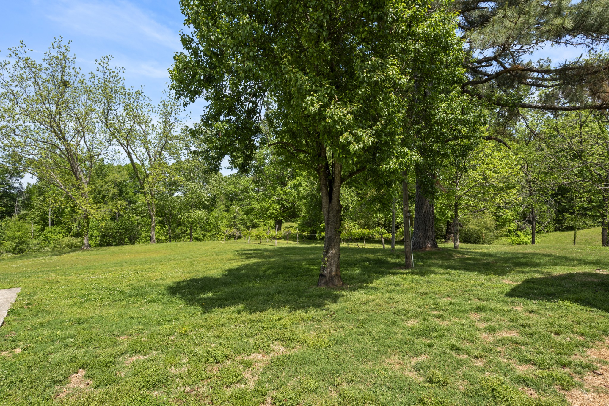 444 Cooley Road Waverly TN 37185