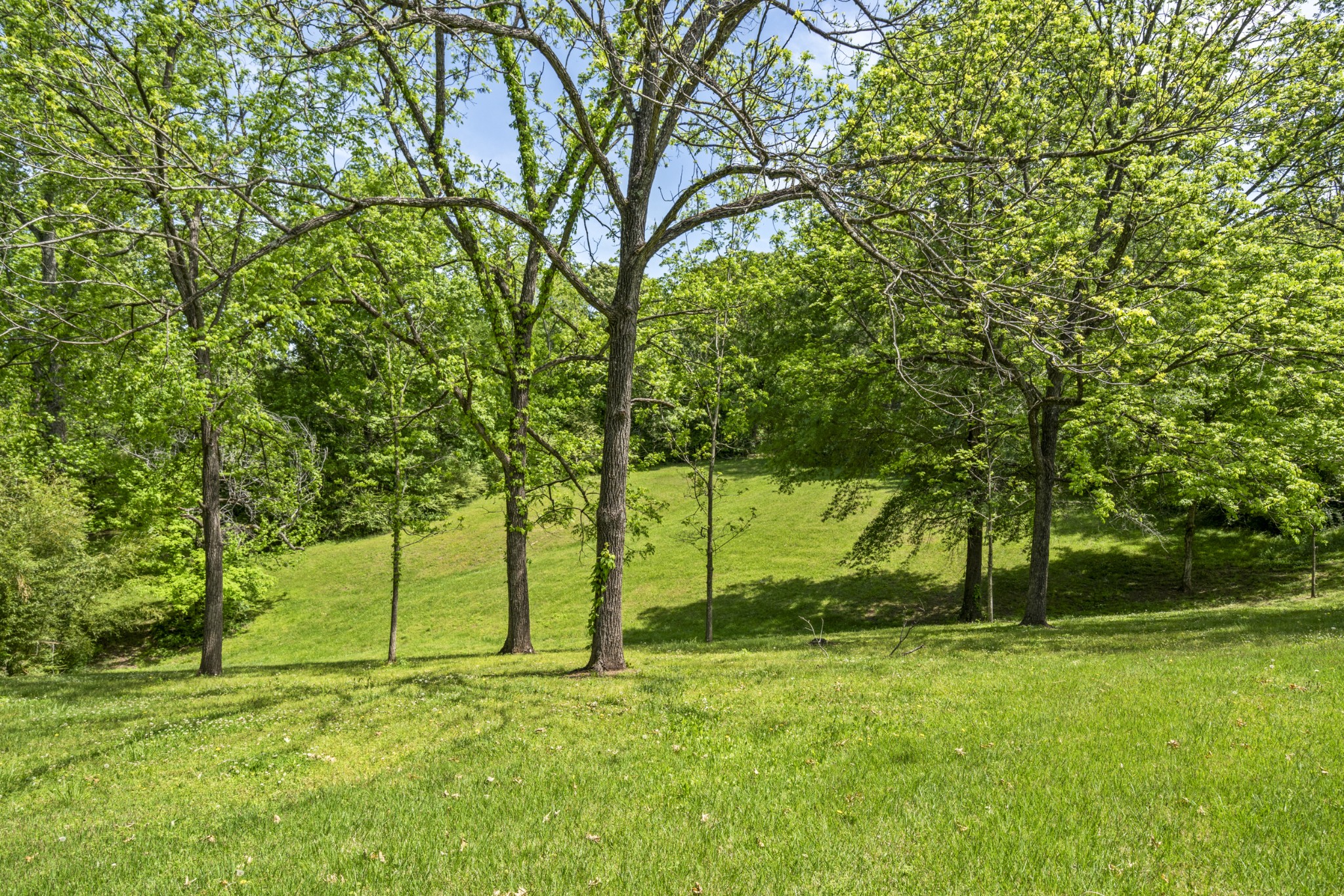 444 Cooley Road Waverly TN 37185