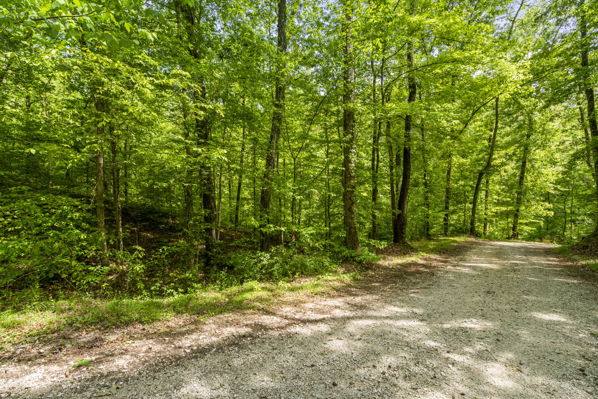 444 Cooley Road Waverly TN 37185