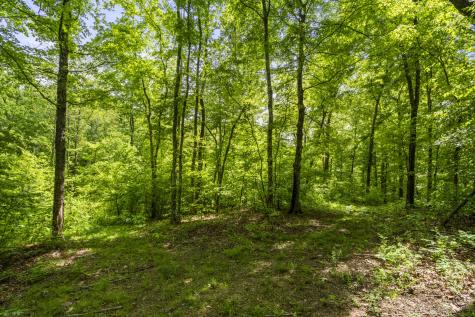 444 Cooley Road Waverly TN 37185