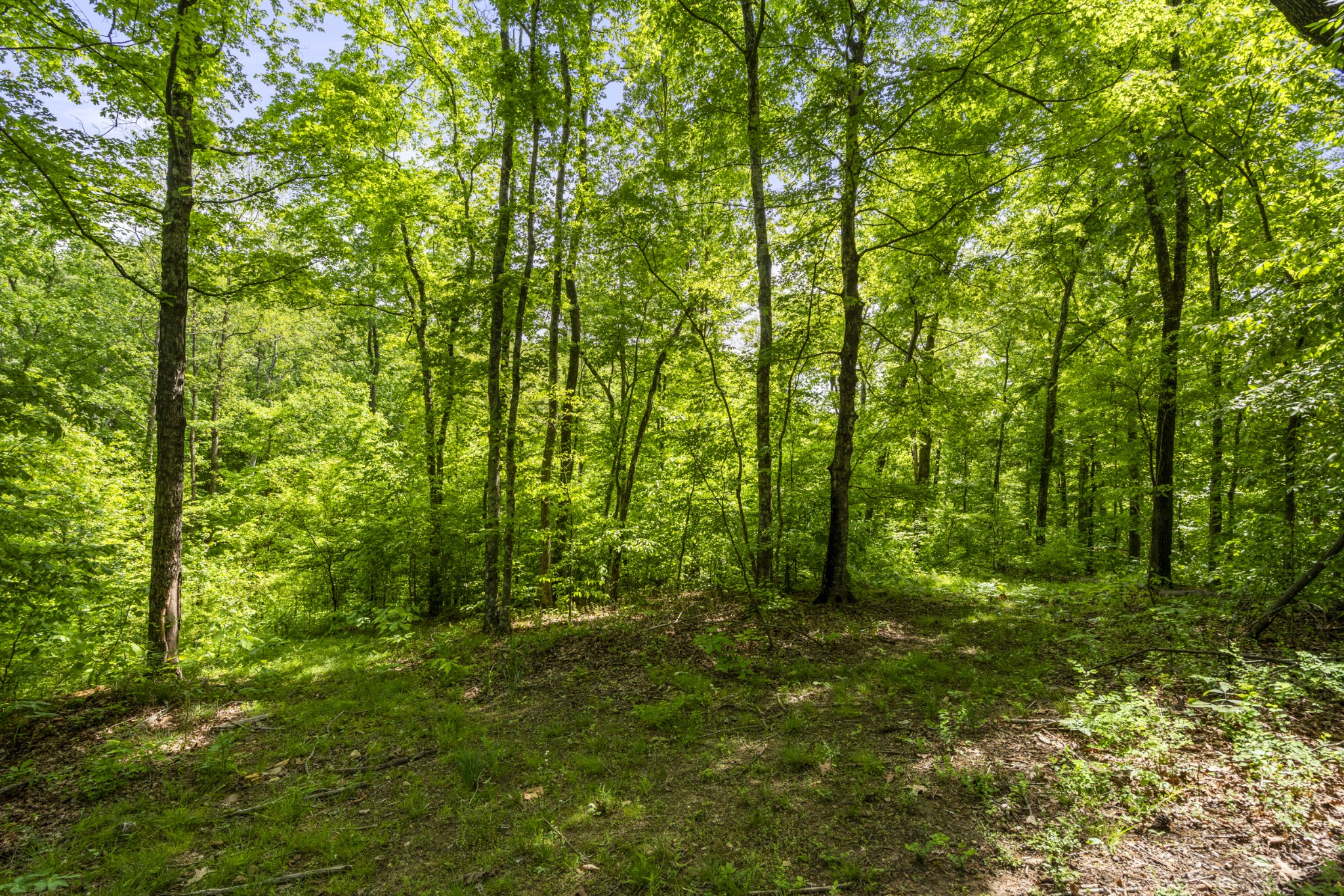 444 Cooley Road Waverly TN 37185