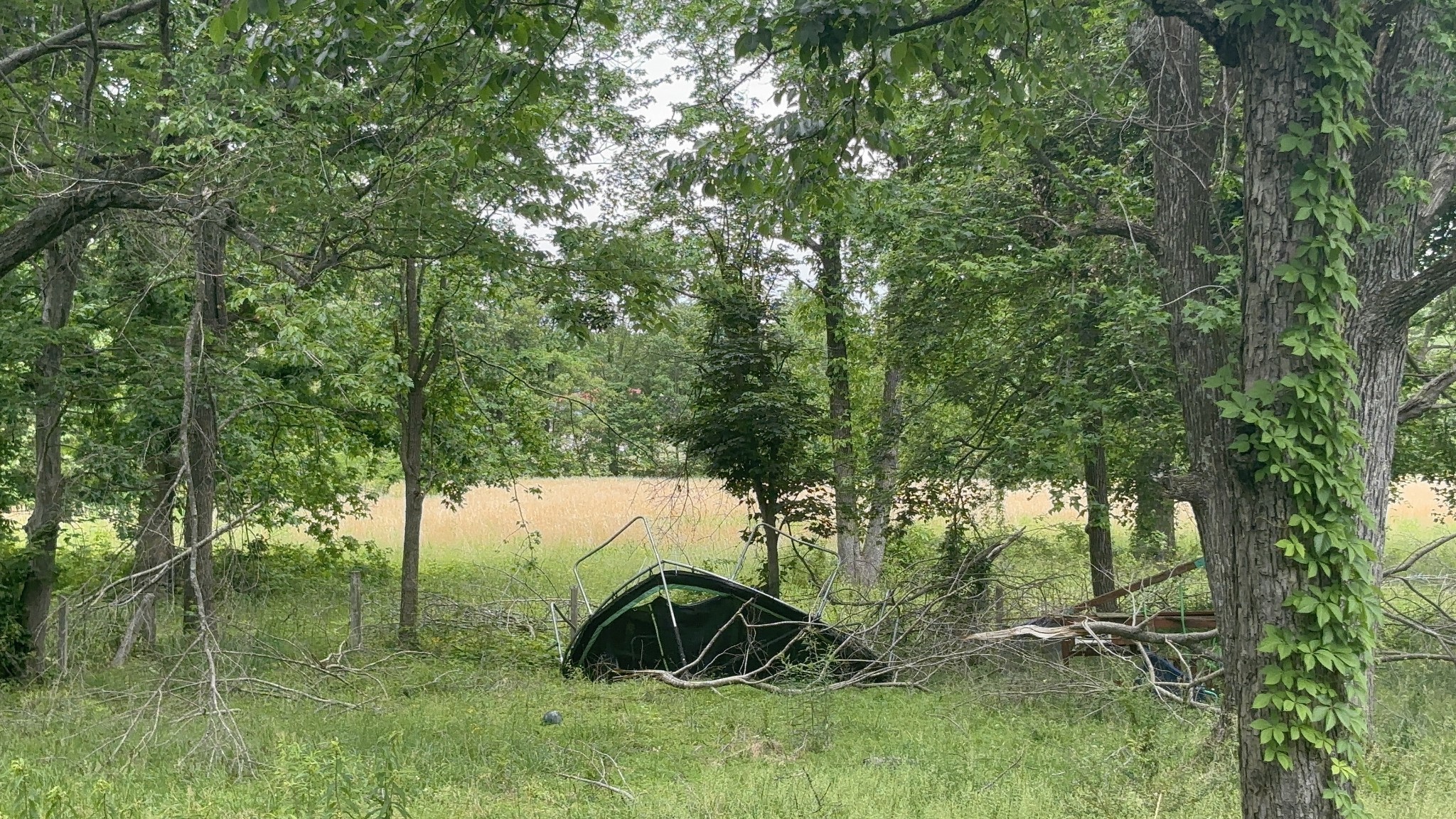 1229 N 1st Street Westmoreland TN 37186
