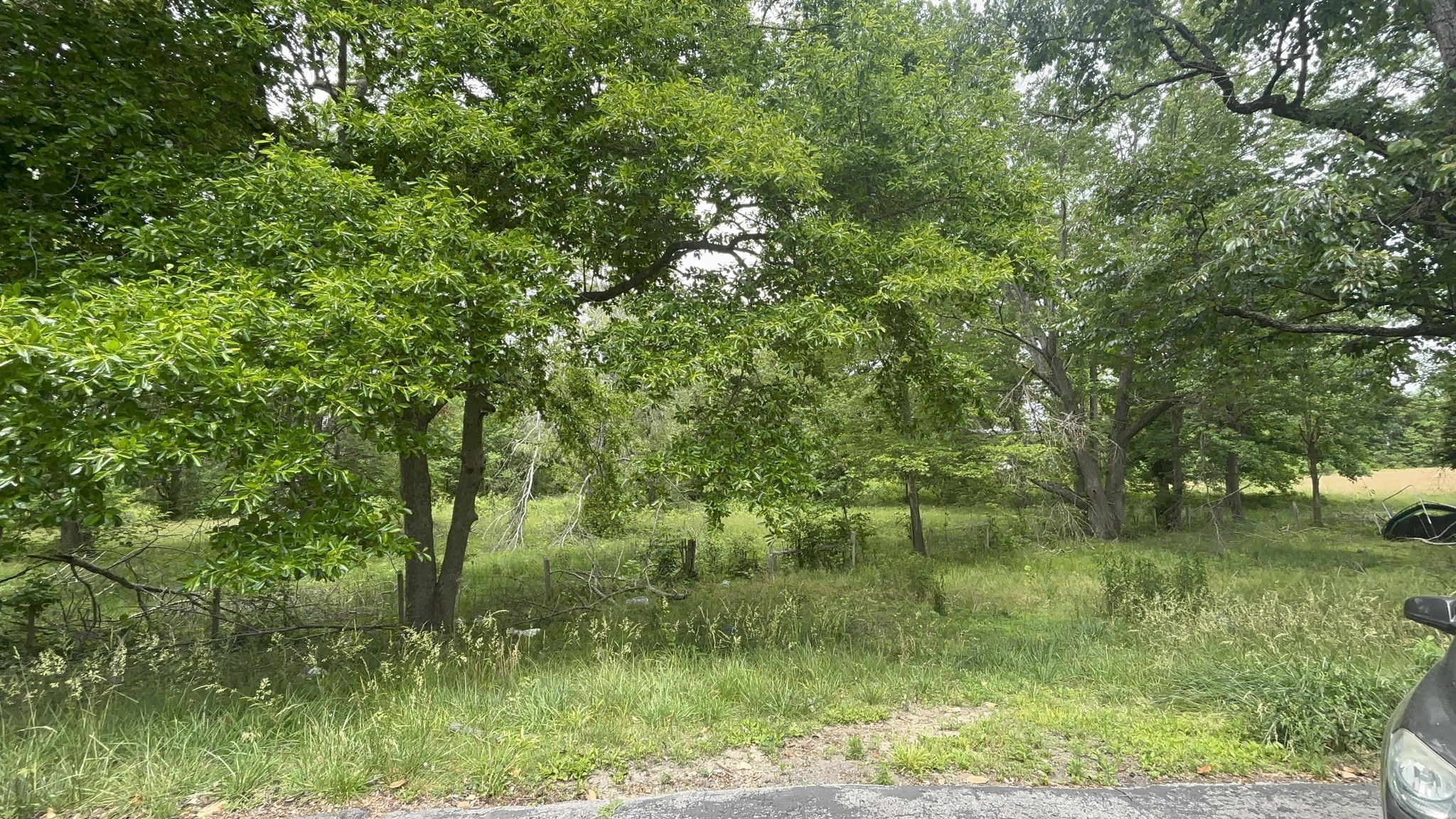 1229 N 1st Street Westmoreland TN 37186
