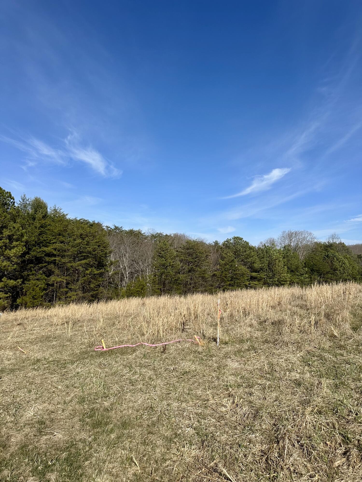 0 Lewis Chapel Road Dunlap TN 37327