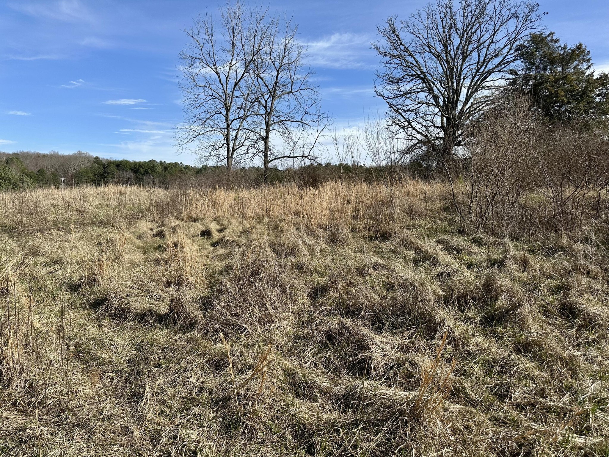 0 Lewis Chapel Road Dunlap TN 37327