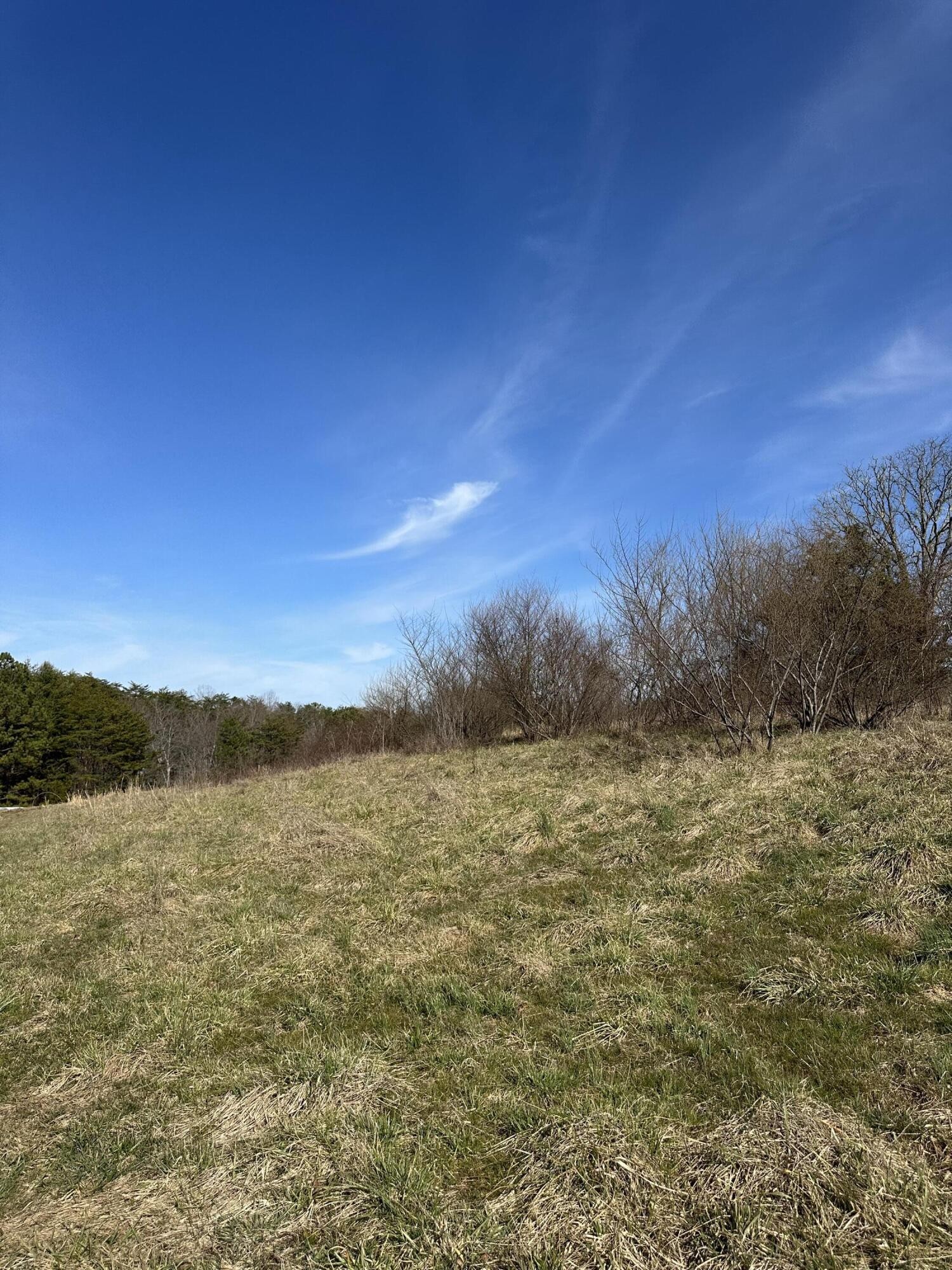 0 Lewis Chapel Road Dunlap TN 37327