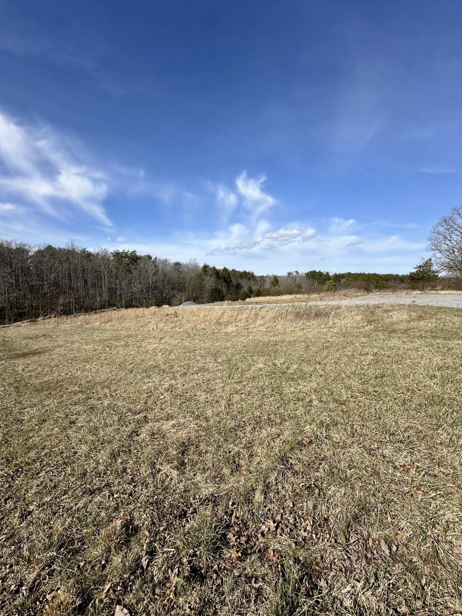0 Lewis Chapel Road Dunlap TN 37327