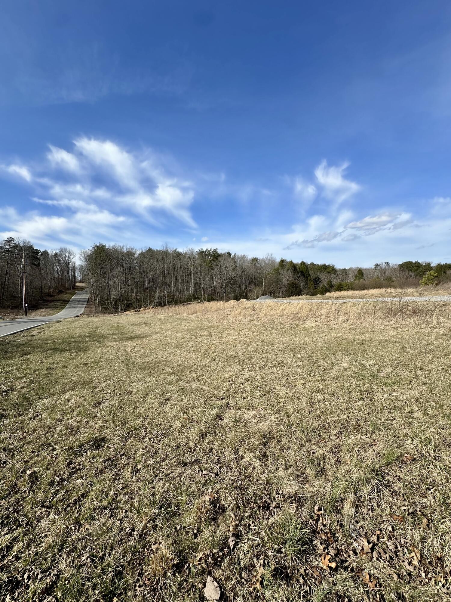0 Lewis Chapel Road Dunlap TN 37327