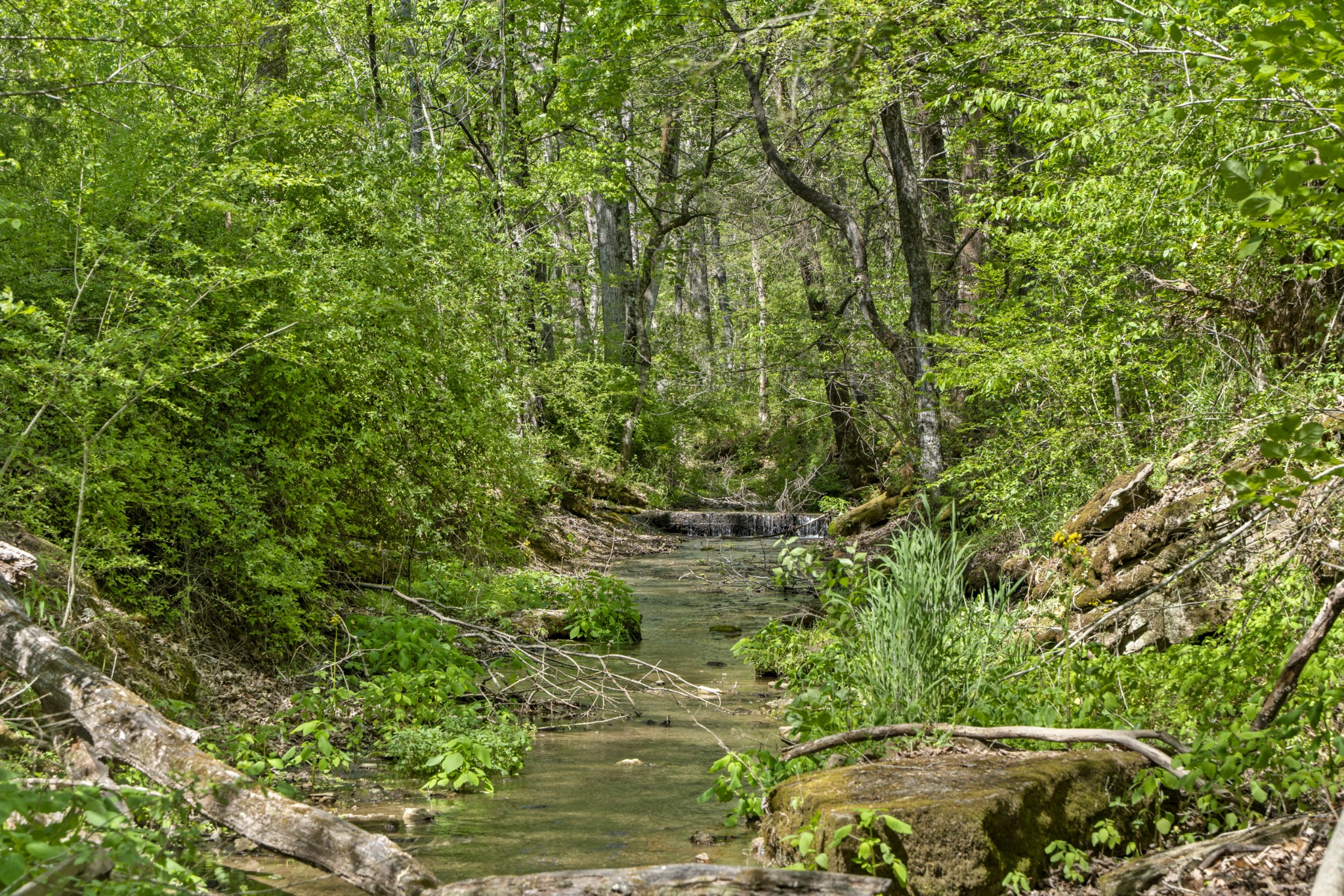 0 Lick Creek Trail Lyles TN 37098