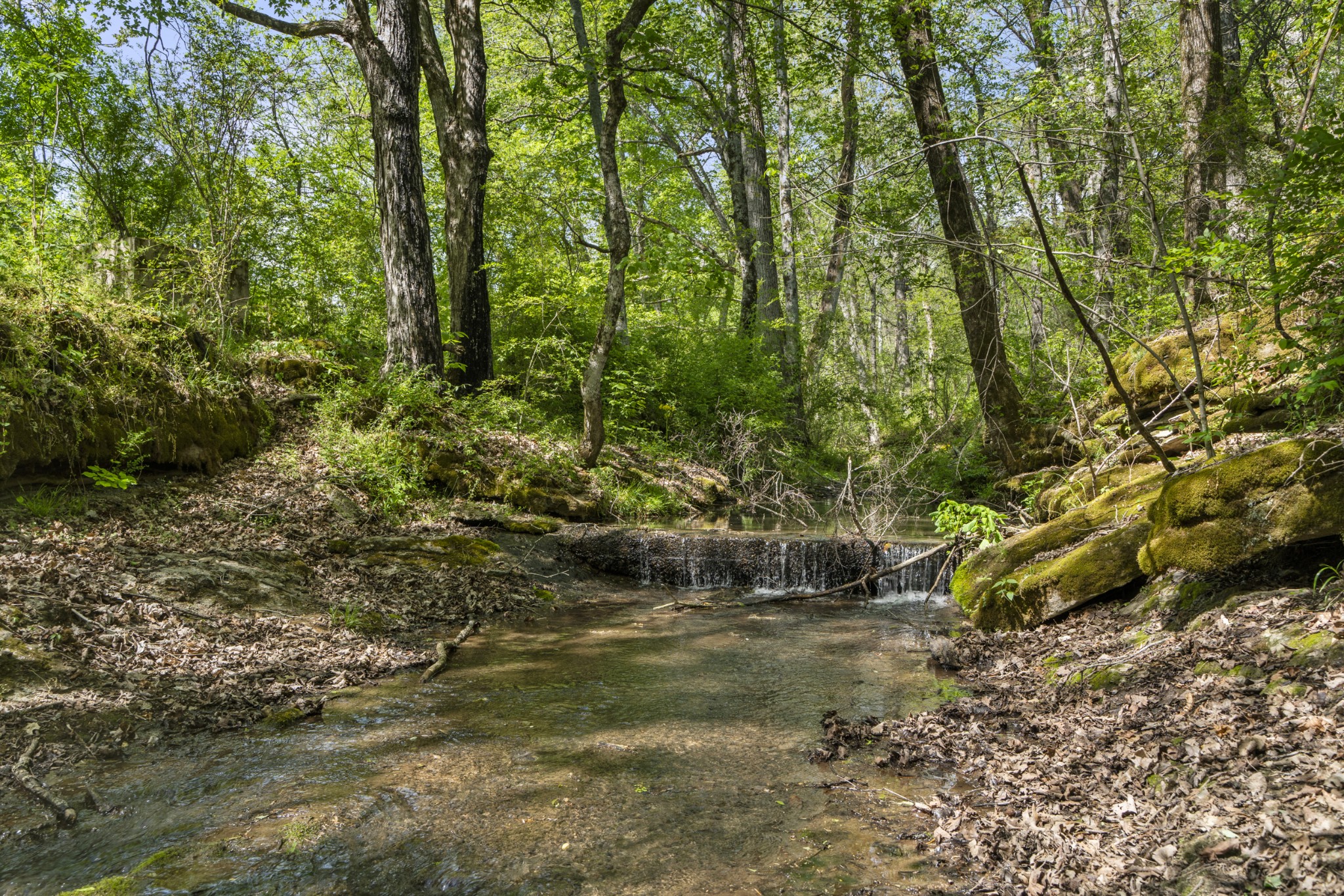 0 Lick Creek Trail Lyles TN 37098