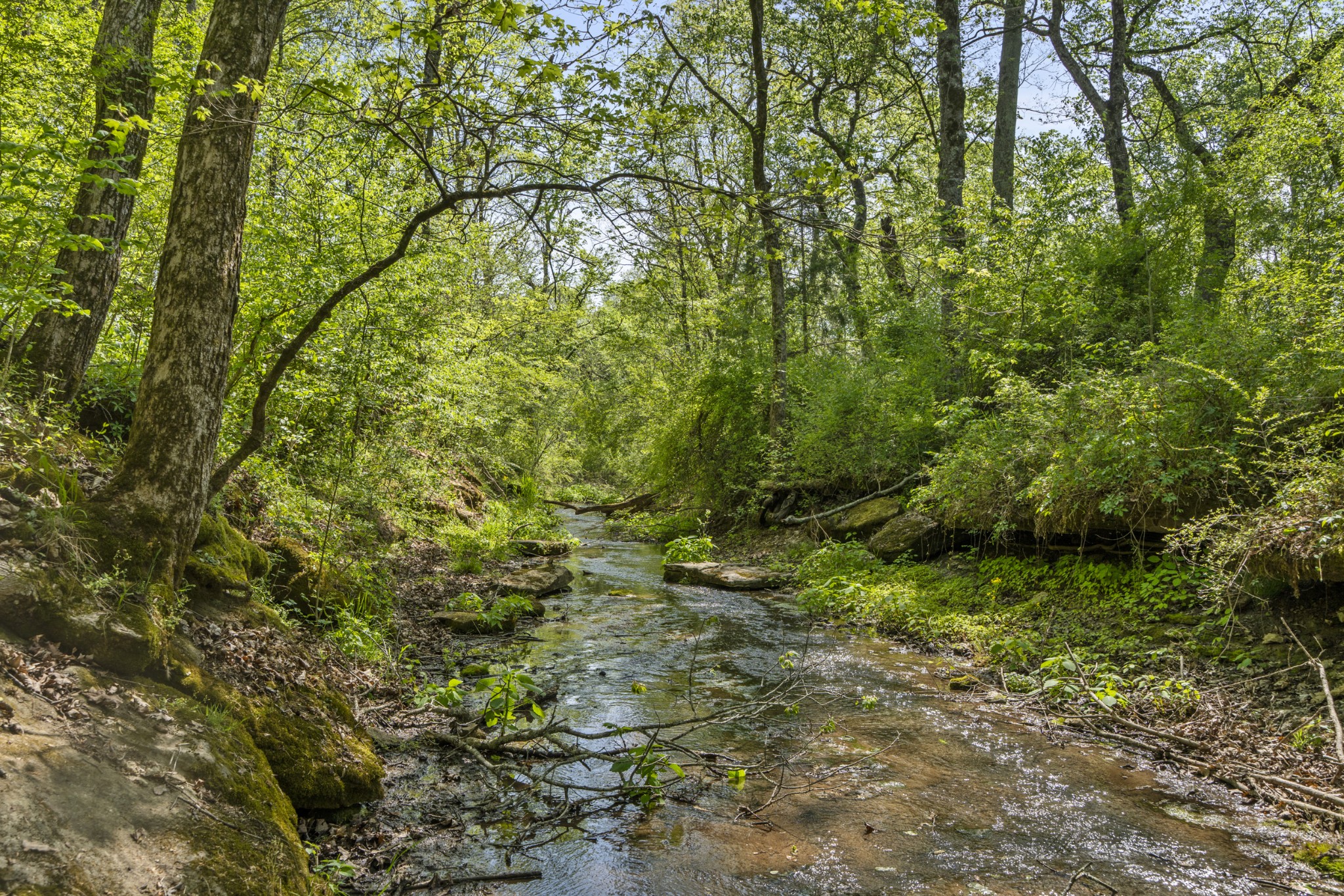 0 Lick Creek Trail Lyles TN 37098
