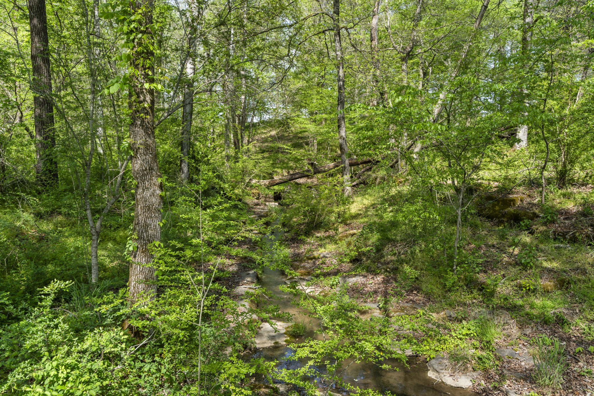 0 Lick Creek Trail Lyles TN 37098