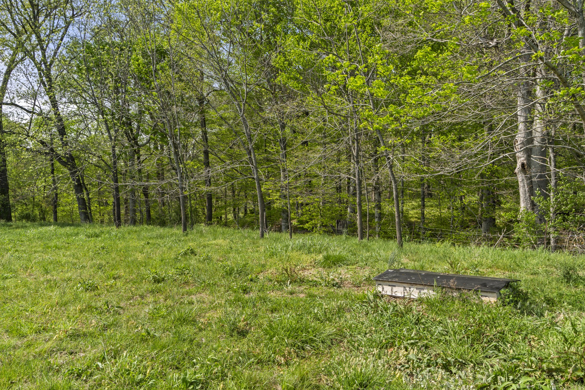 0 Lick Creek Trail Lyles TN 37098