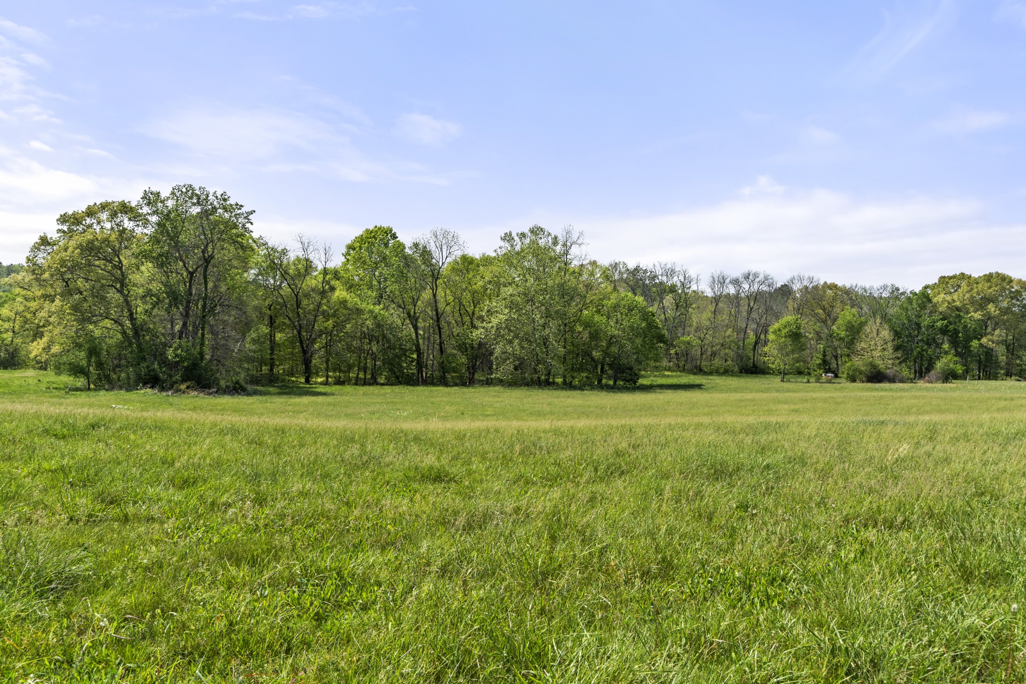 0 Lick Creek Trail Lyles TN 37098