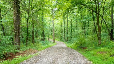 0 Parsons Bend Road Columbia TN 38401