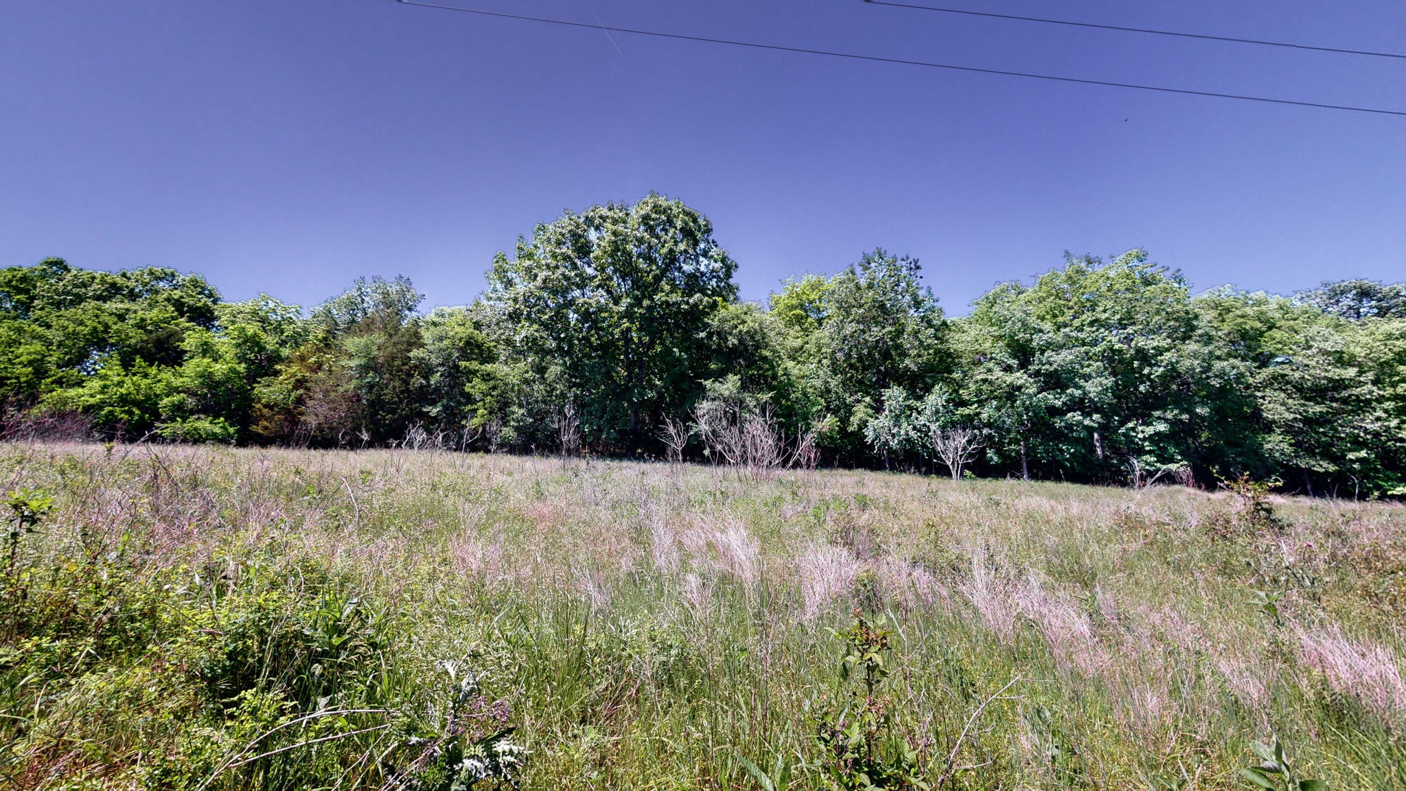 5 Peeples Court Madison TN 37115