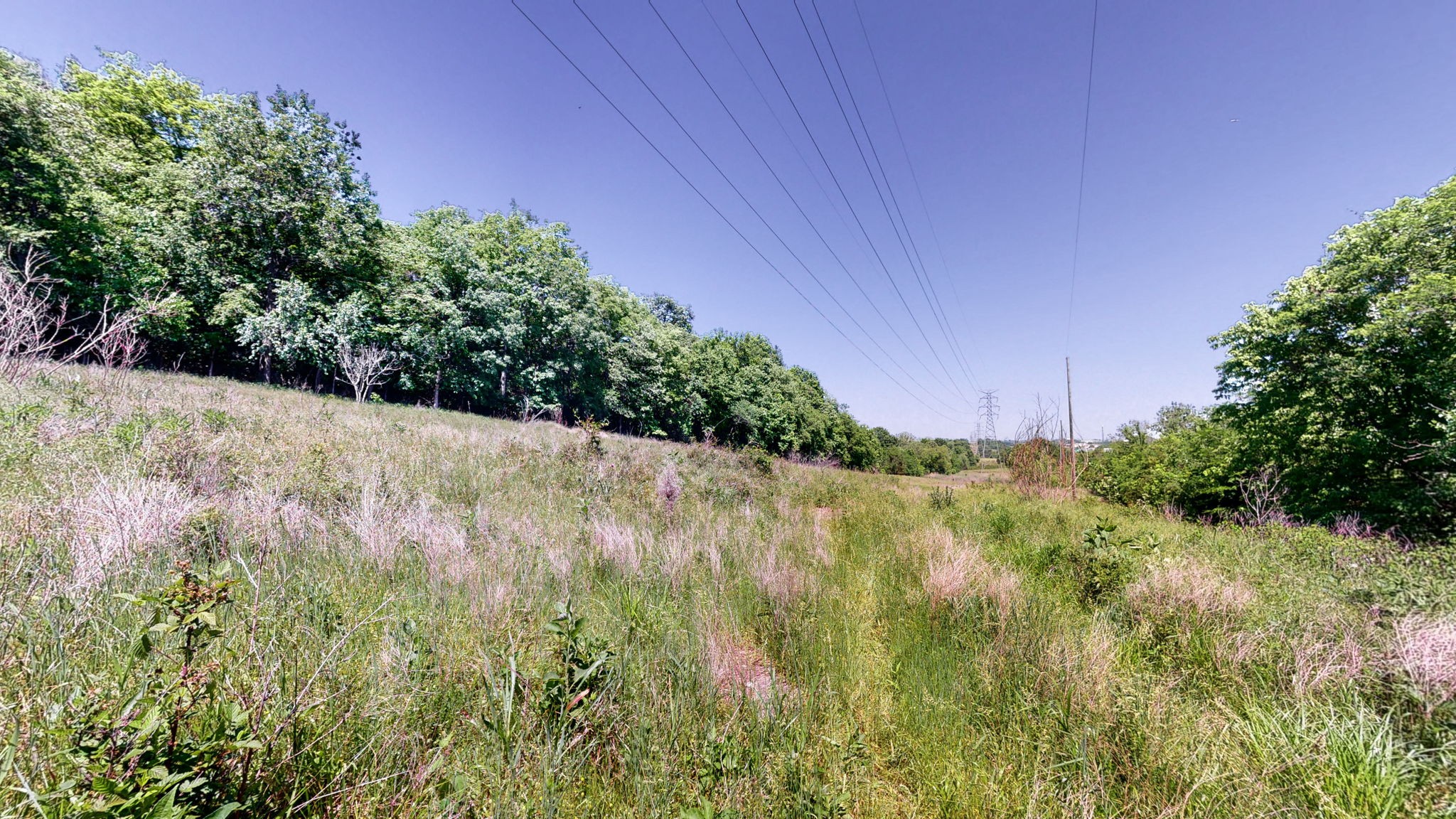 5 Peeples Court Madison TN 37115
