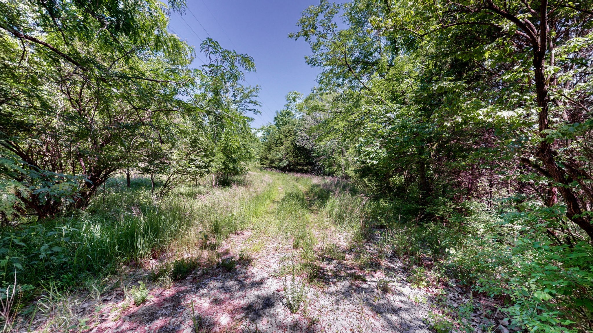 5 Peeples Court Madison TN 37115