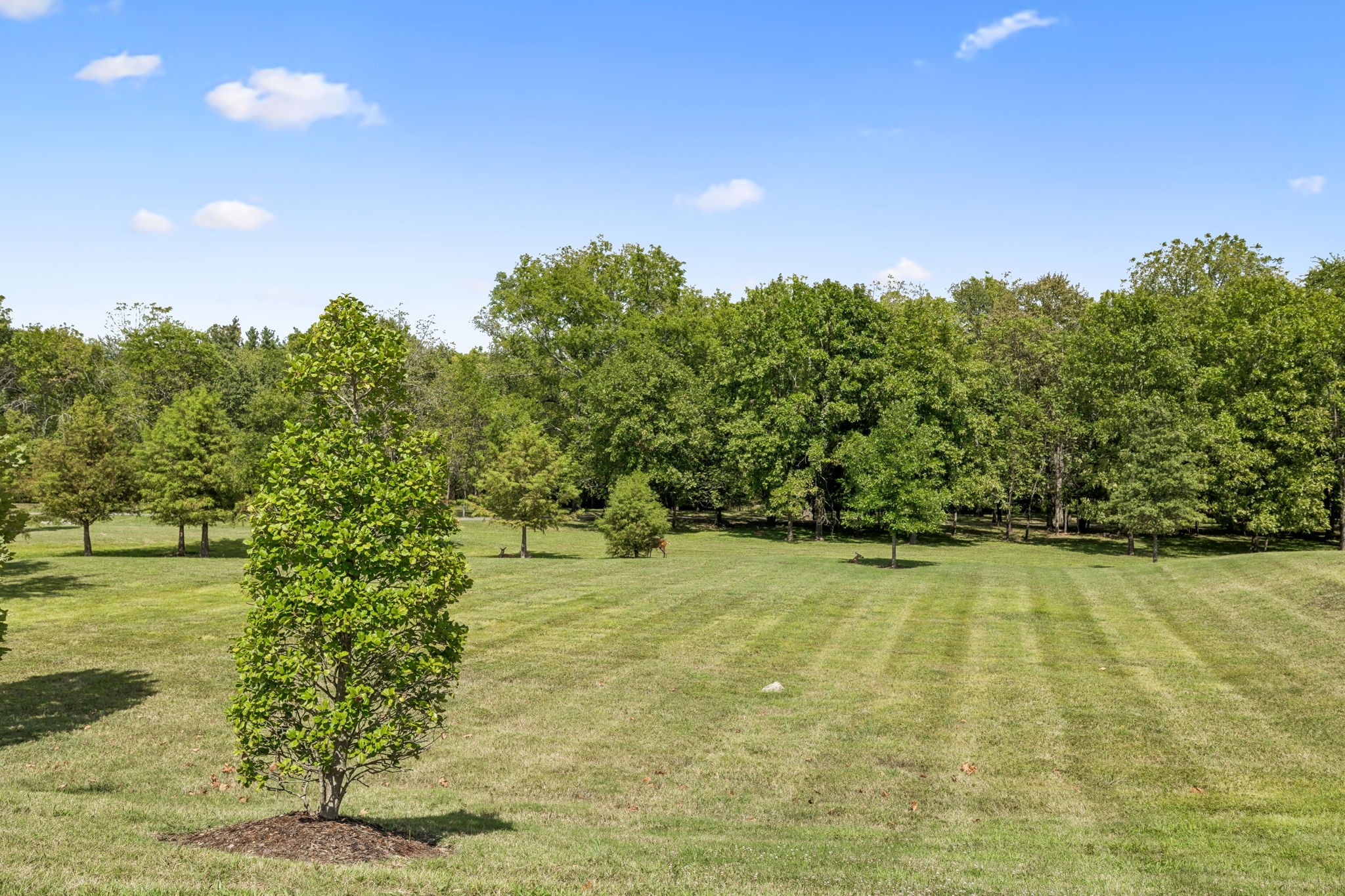 161 Winslow Court Gallatin TN 37066